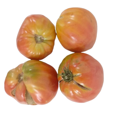 RIPE Oxheart tomato organic